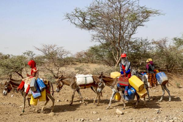 Yemen's Humanitarian Crisis Deepens Amid Heatwave and Blackouts