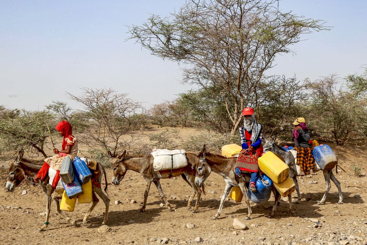 Yemen's Humanitarian Crisis Deepens Amid Heatwave and Blackouts