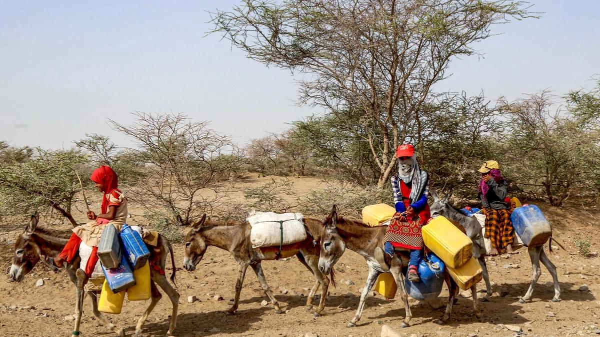 Yemen's Humanitarian Crisis Deepens Amid Heatwave and Blackouts
