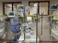 Gaza's Infant Mortality Crisis: A Geopolitical Consequence of Conflict and Siege