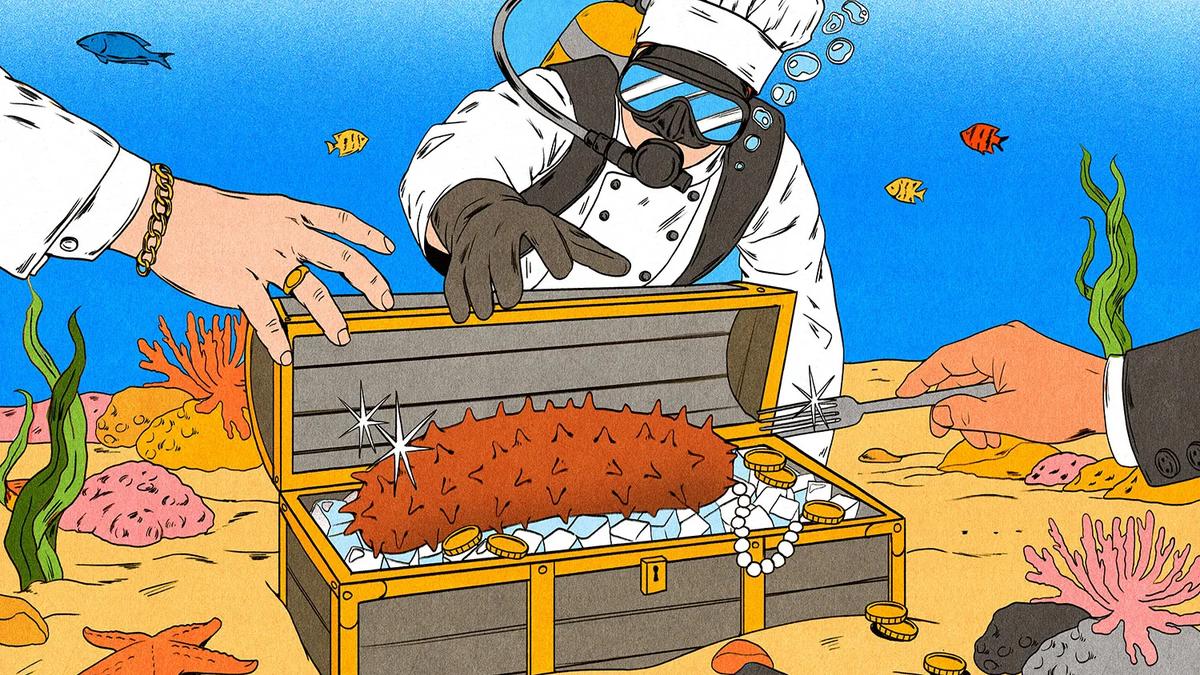 The Sea Cucumber: A Delicacy That Feeds Cartels and Starves the Ocean