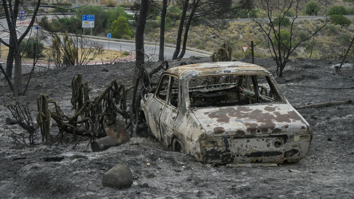 Spain Wildfire: A Geopolitical Analysis of Climate Chaos and Human Impact