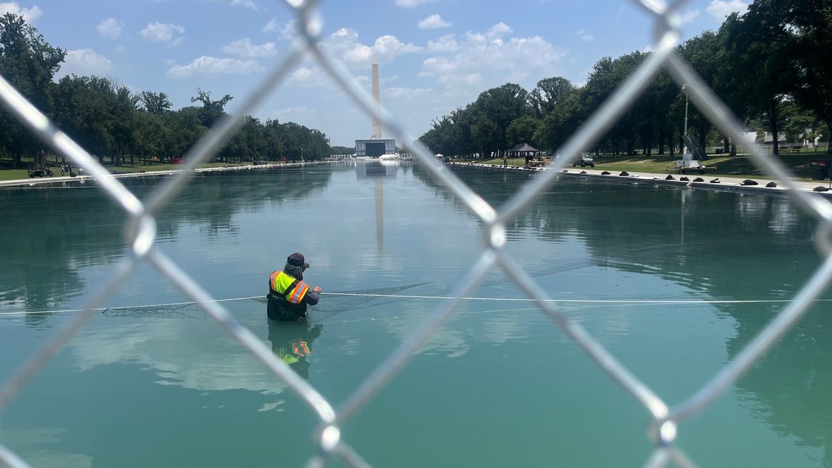 Trump Administration's Reflecting Pool Vandalism Charges: A Geopolitical Analysis