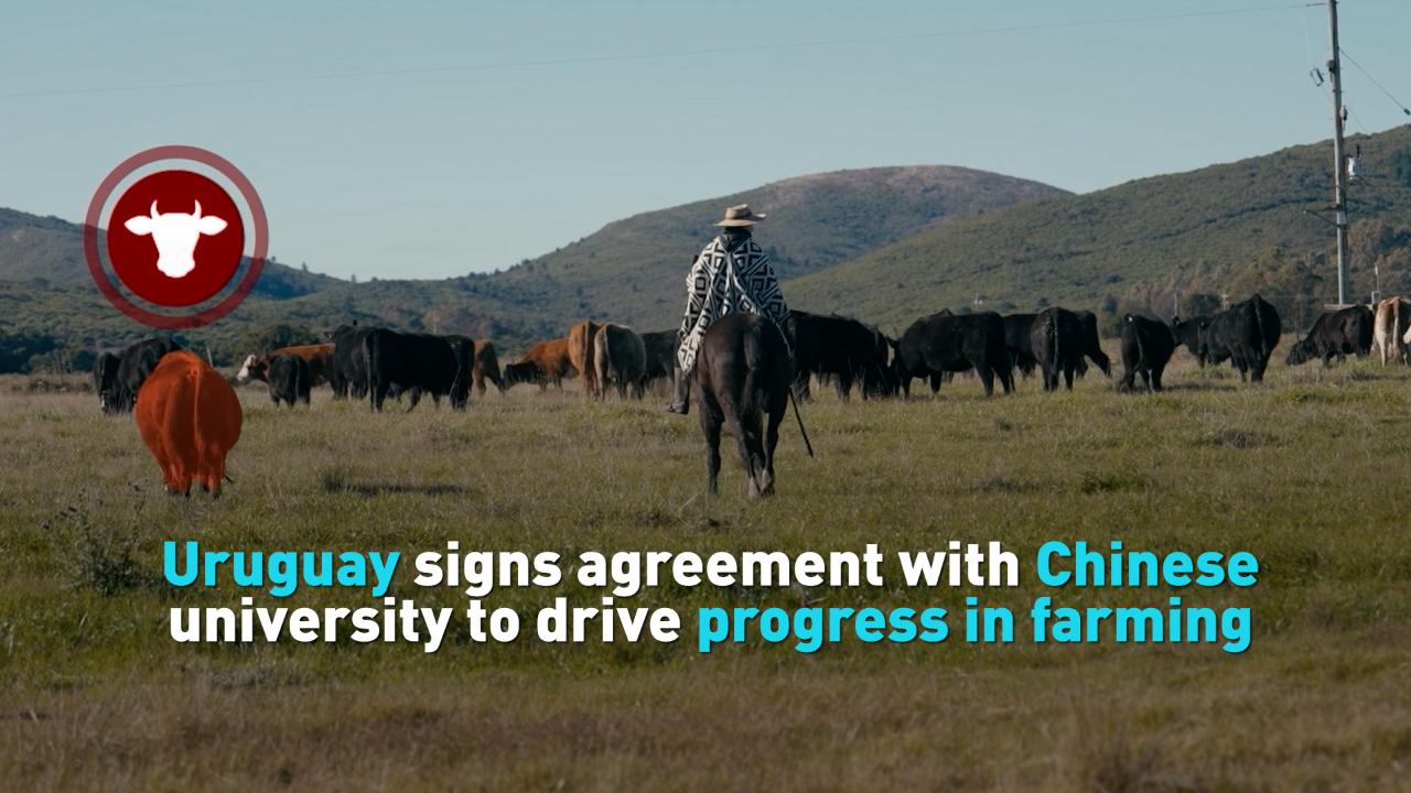 Uruguay's Strategic Partnership with China: A New Era in Farming Cooperation