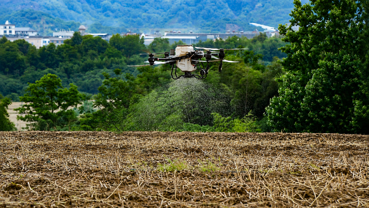 AI-Powered Drones Reshape Ghanaian Agriculture, Offering a Blueprint for African Food Security