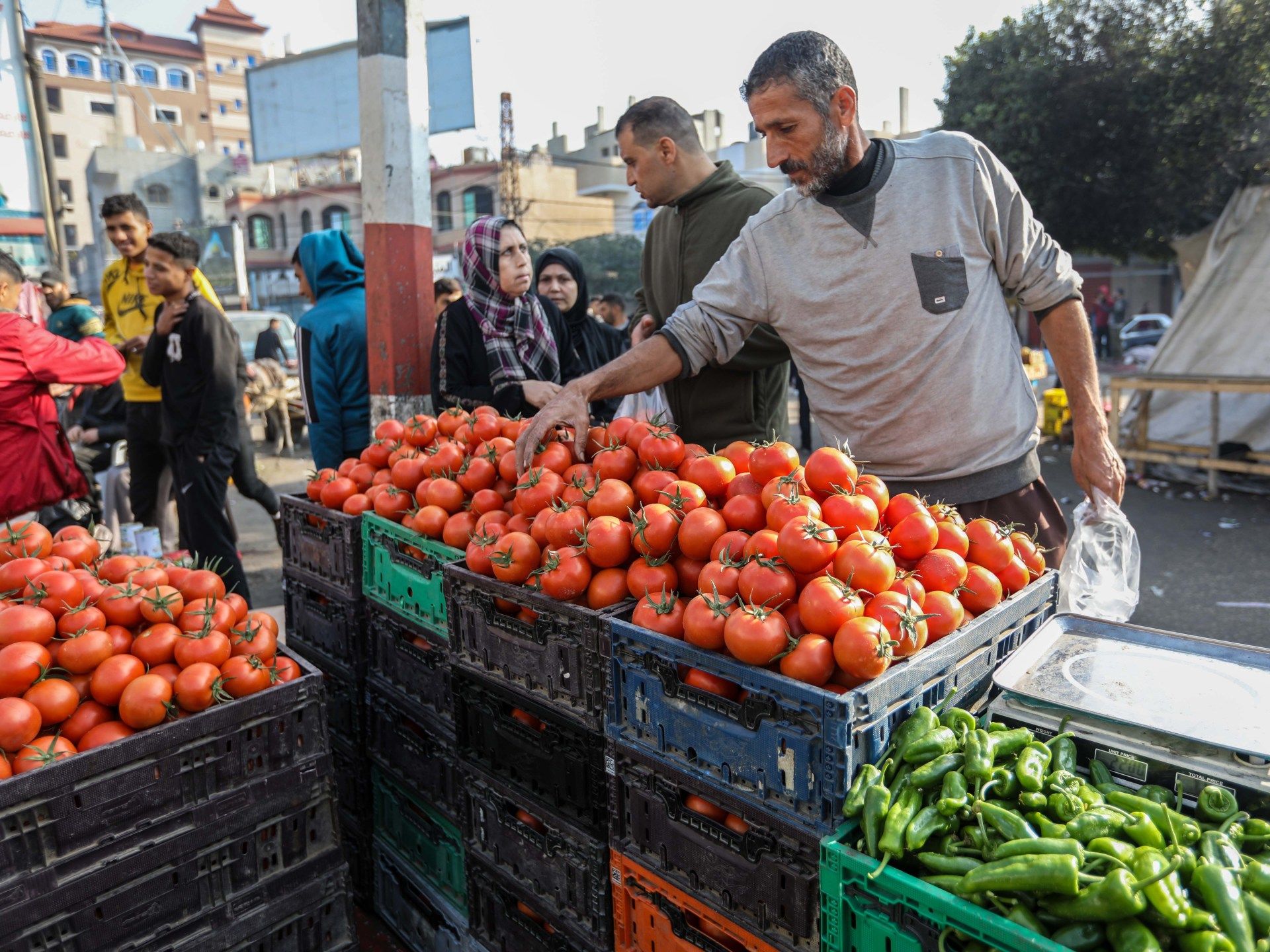 When Trucks Stop, Gaza’s Families Feel the Hunger