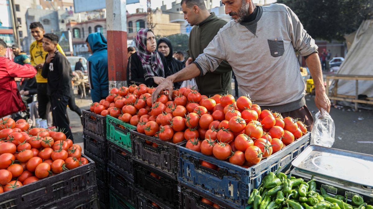 When Trucks Stop, Gaza’s Families Feel the Hunger