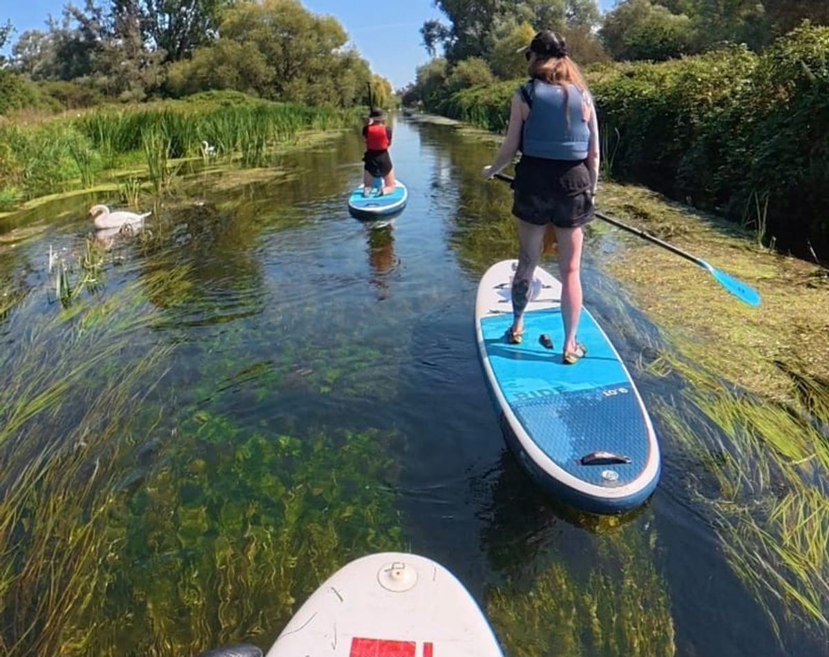 Two paddleboarders on a narrow waterway lined with reeds