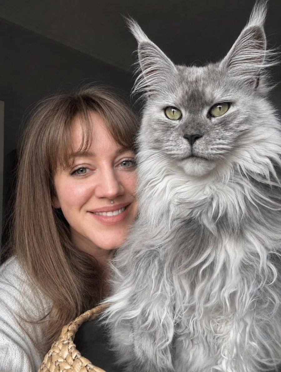 A woman smiling beside a long-haired silver Maine Coon cat