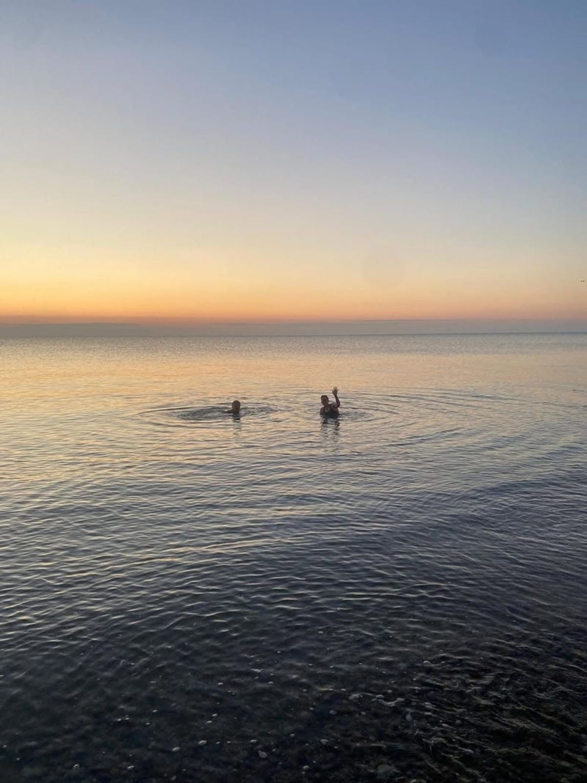 Two open-water swimmers far out on a calm sea at sunrise