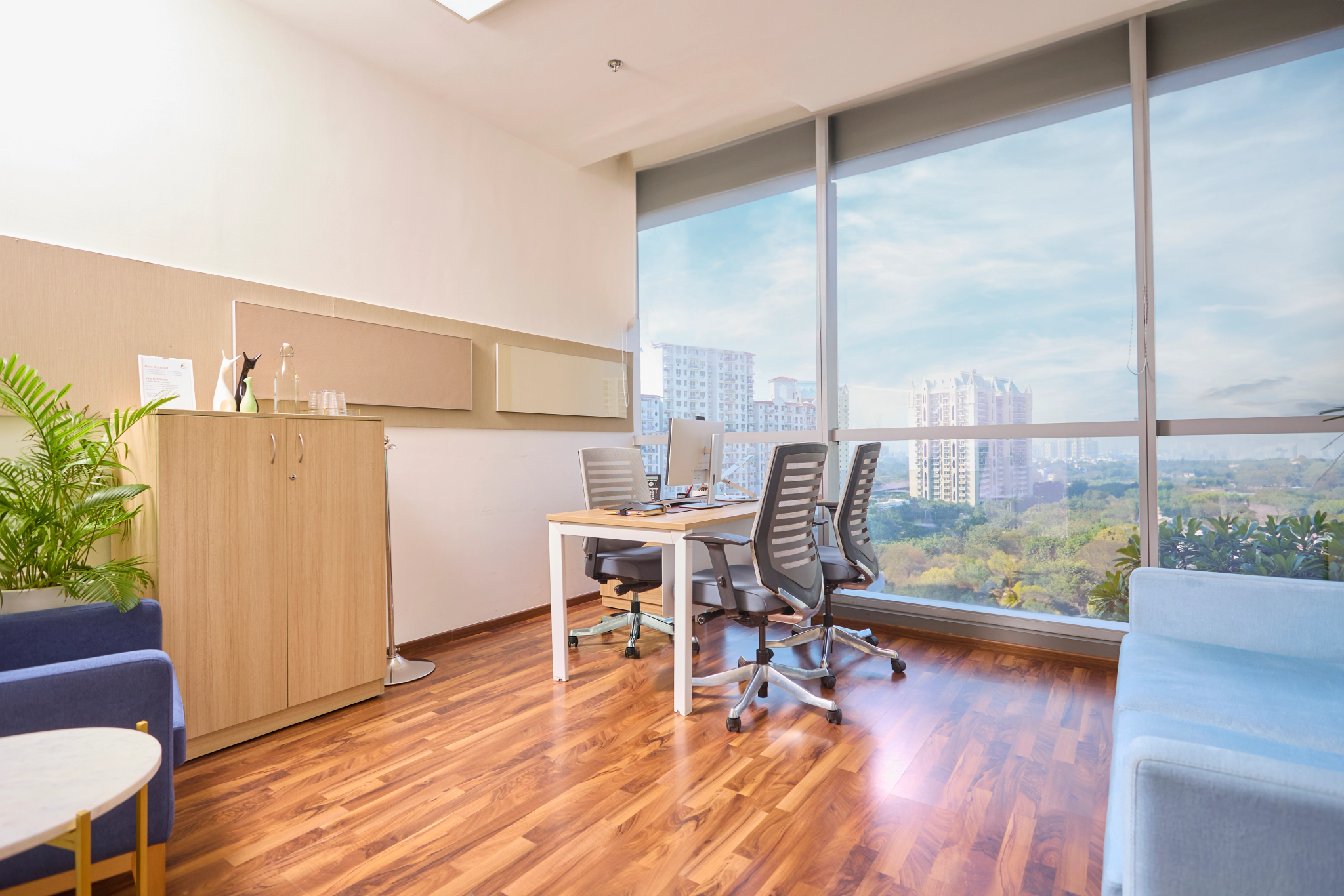 Director Cabin — Two Horizon Centre