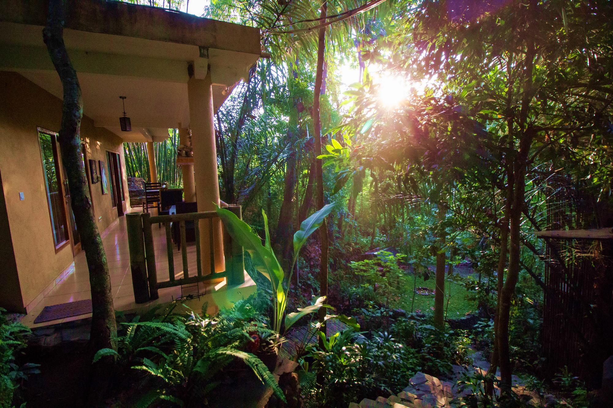 image from Shanti Toya space used as a background image