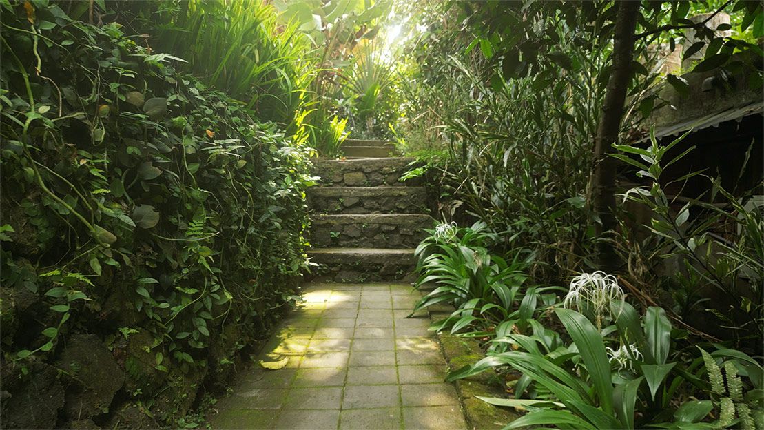 Shanti Toya space for yoga practice