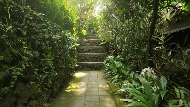 Shanti Toya space for yoga practice