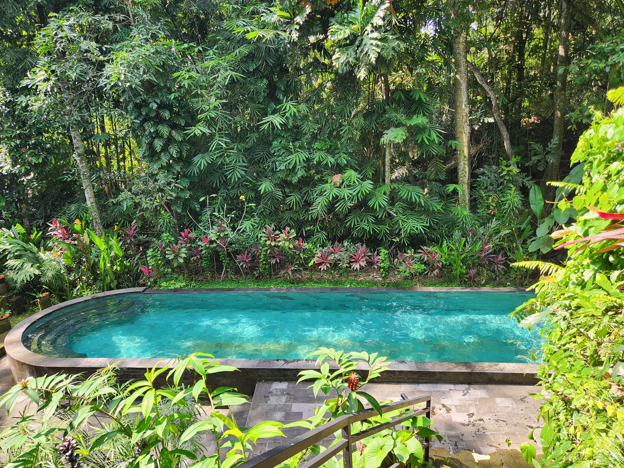 view on the pool and the jungle