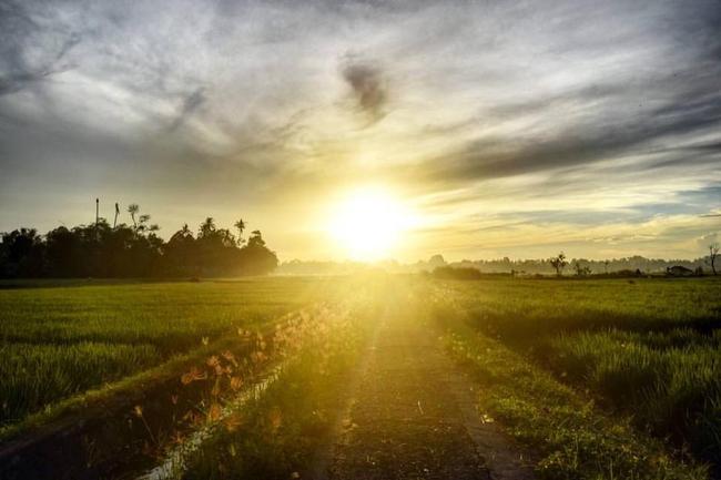 Sunrise over the ricefields surrounding Shanti Toya