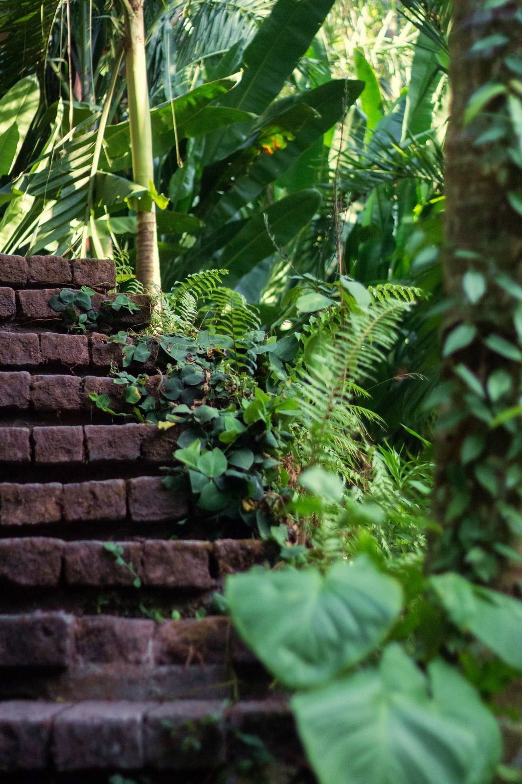 image from Shanti Toya space used as a background image