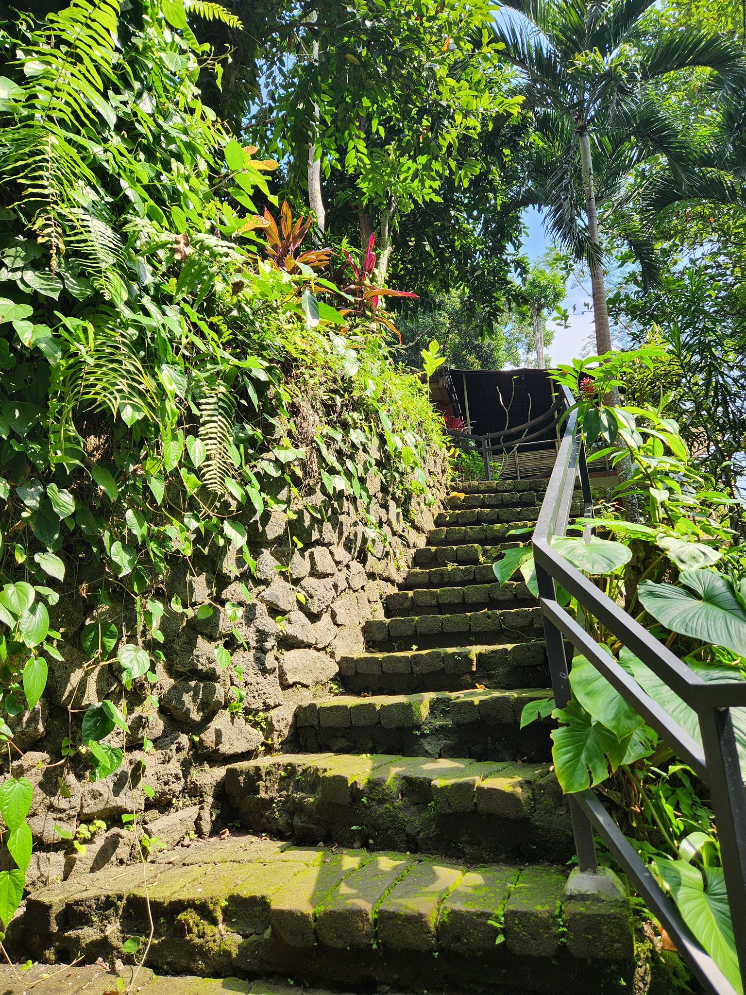 stairs from the pool