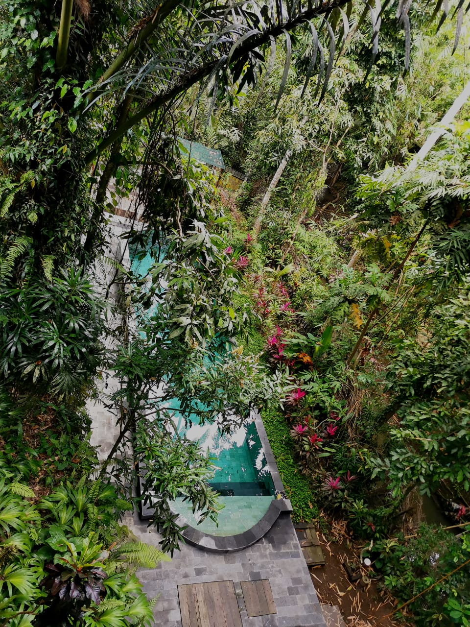 image from Shanti Toya space used as a background image