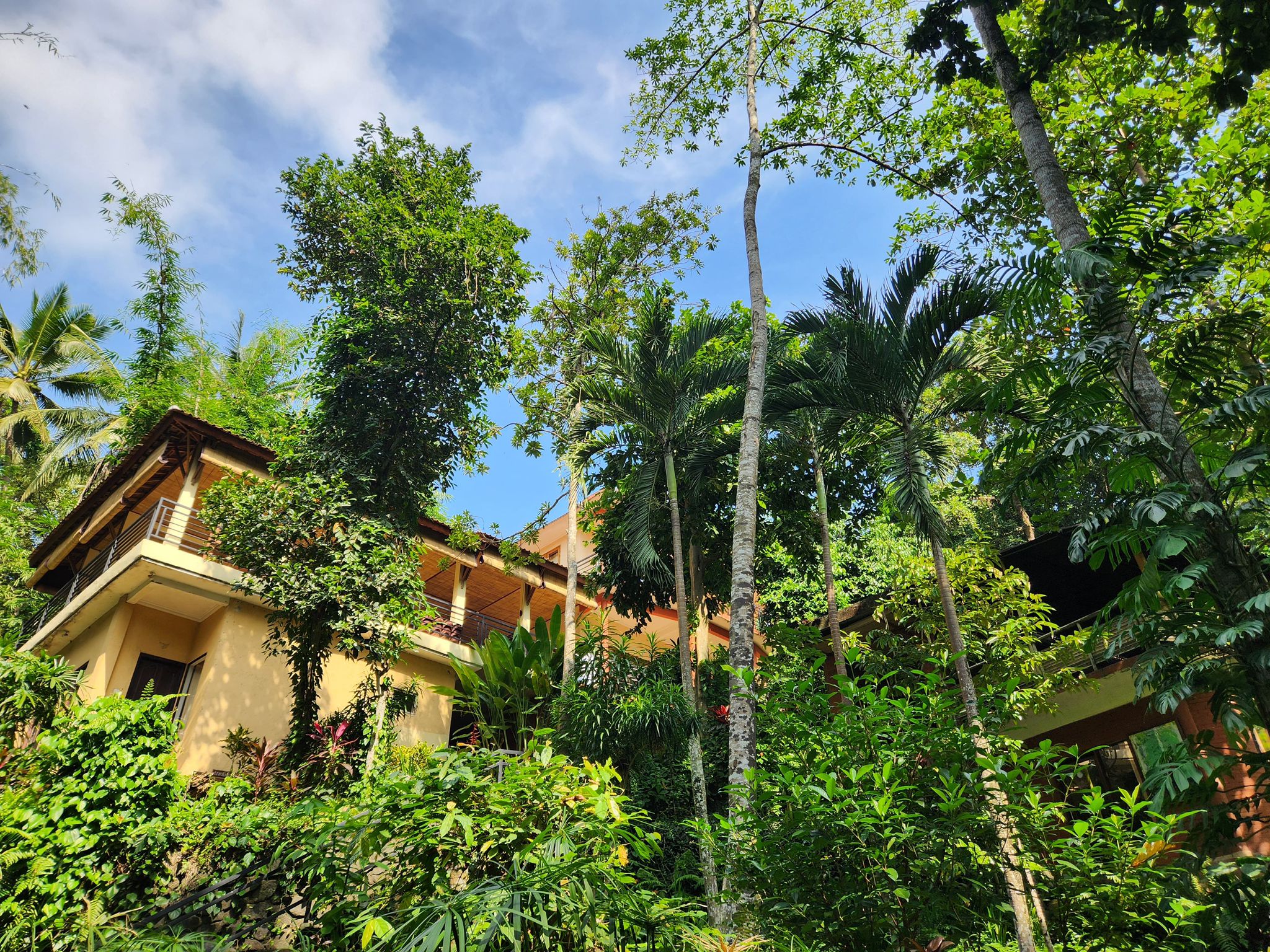 view on the yogashala and the greenery