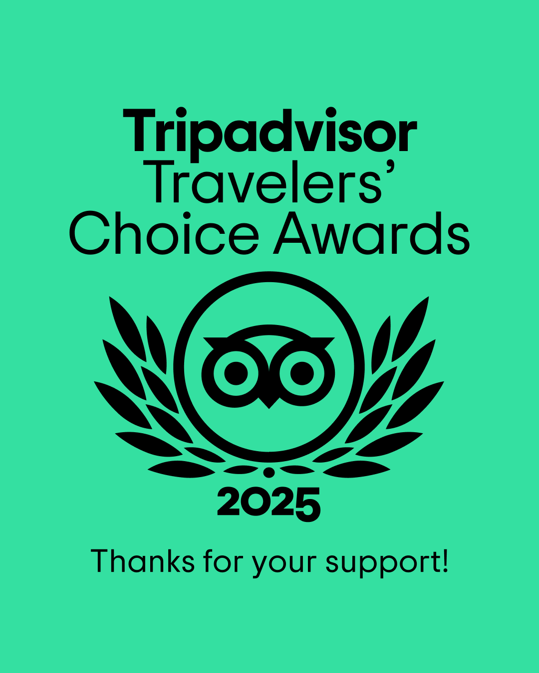 Tripadvisor badges of travelers choice