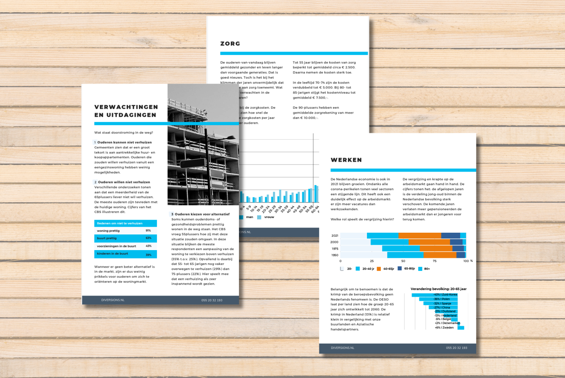 Pagina's uit het e-book over vergrijzing met hoofdstukken Zorg en Werken en staafdiagrammen