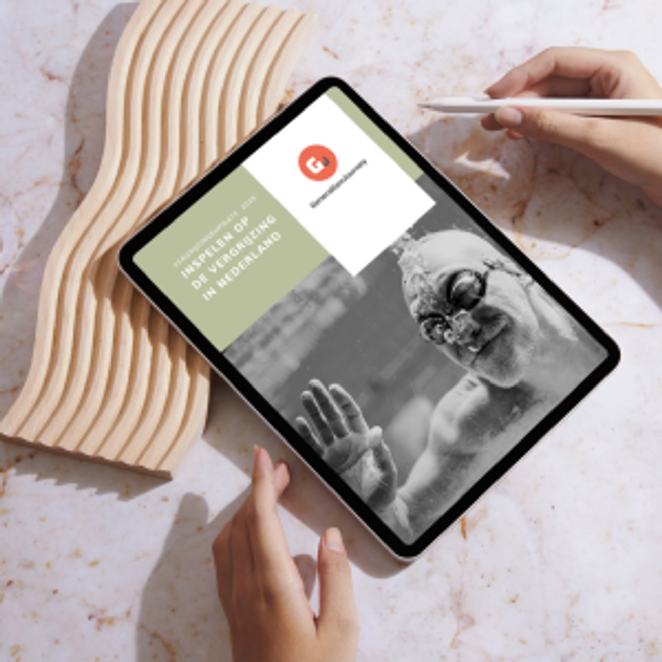 ebook vergrijzing