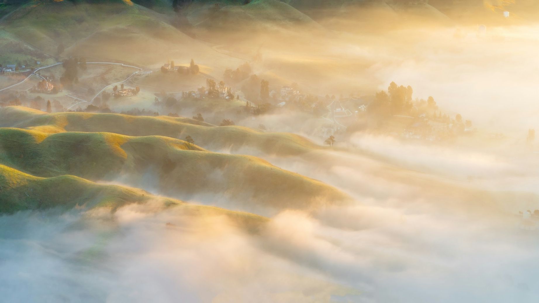 The Metrics That Matter: Evaluating Agent Growth with AI