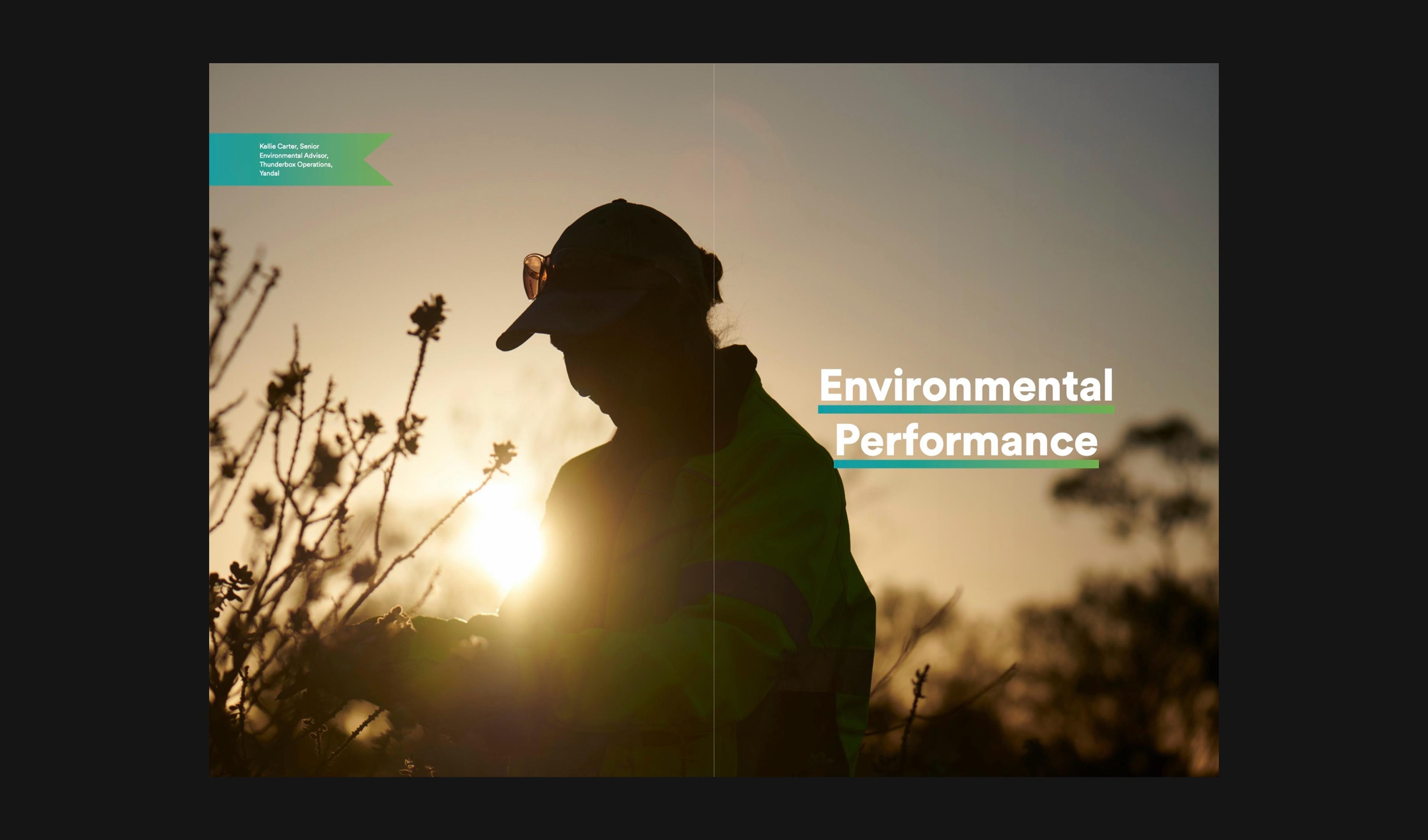 Silhouette of an environmental advisor at sunset