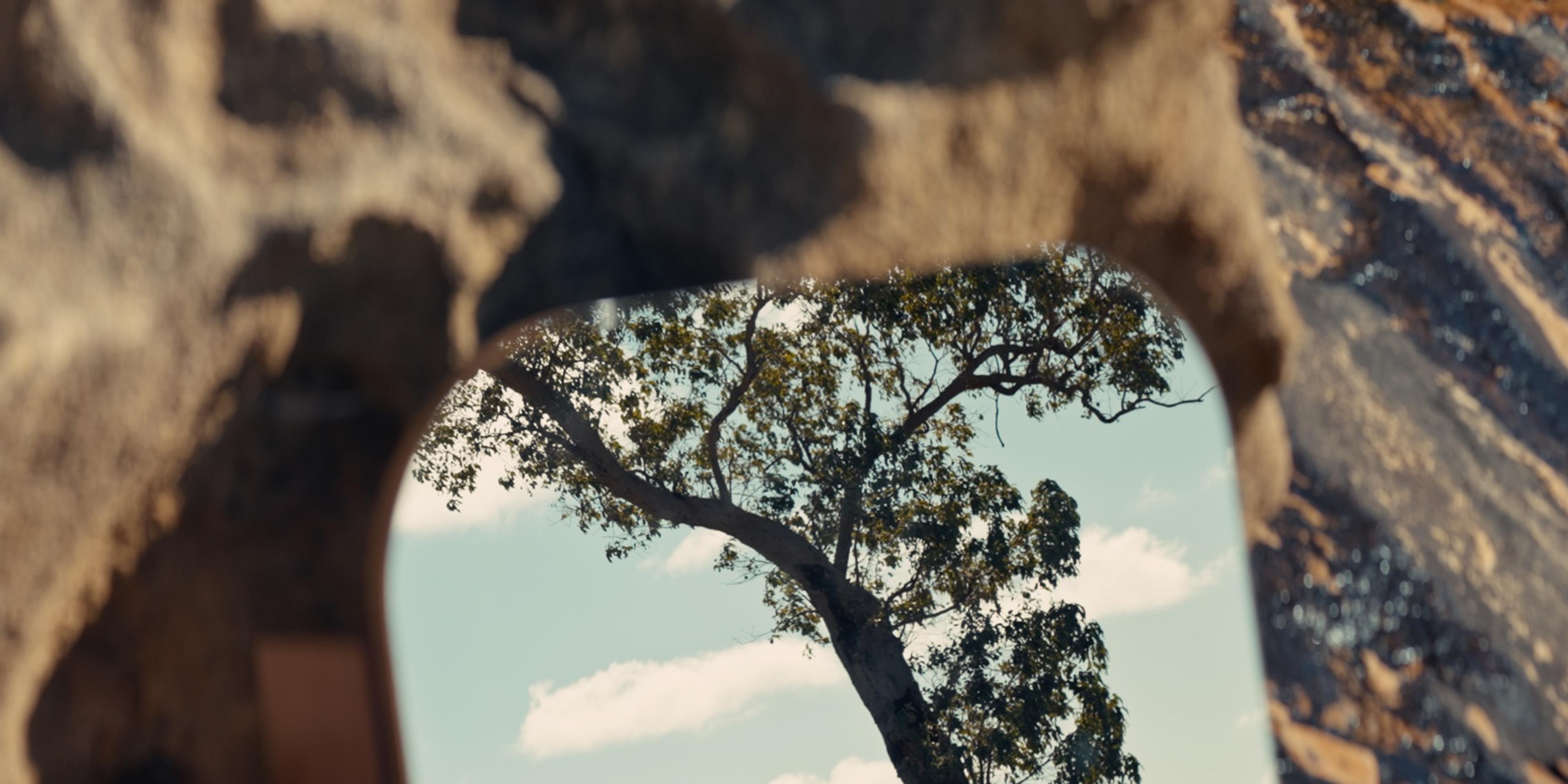 Shark Bay shaving cabinet mirror reflecting a tree through a hollow in the rock