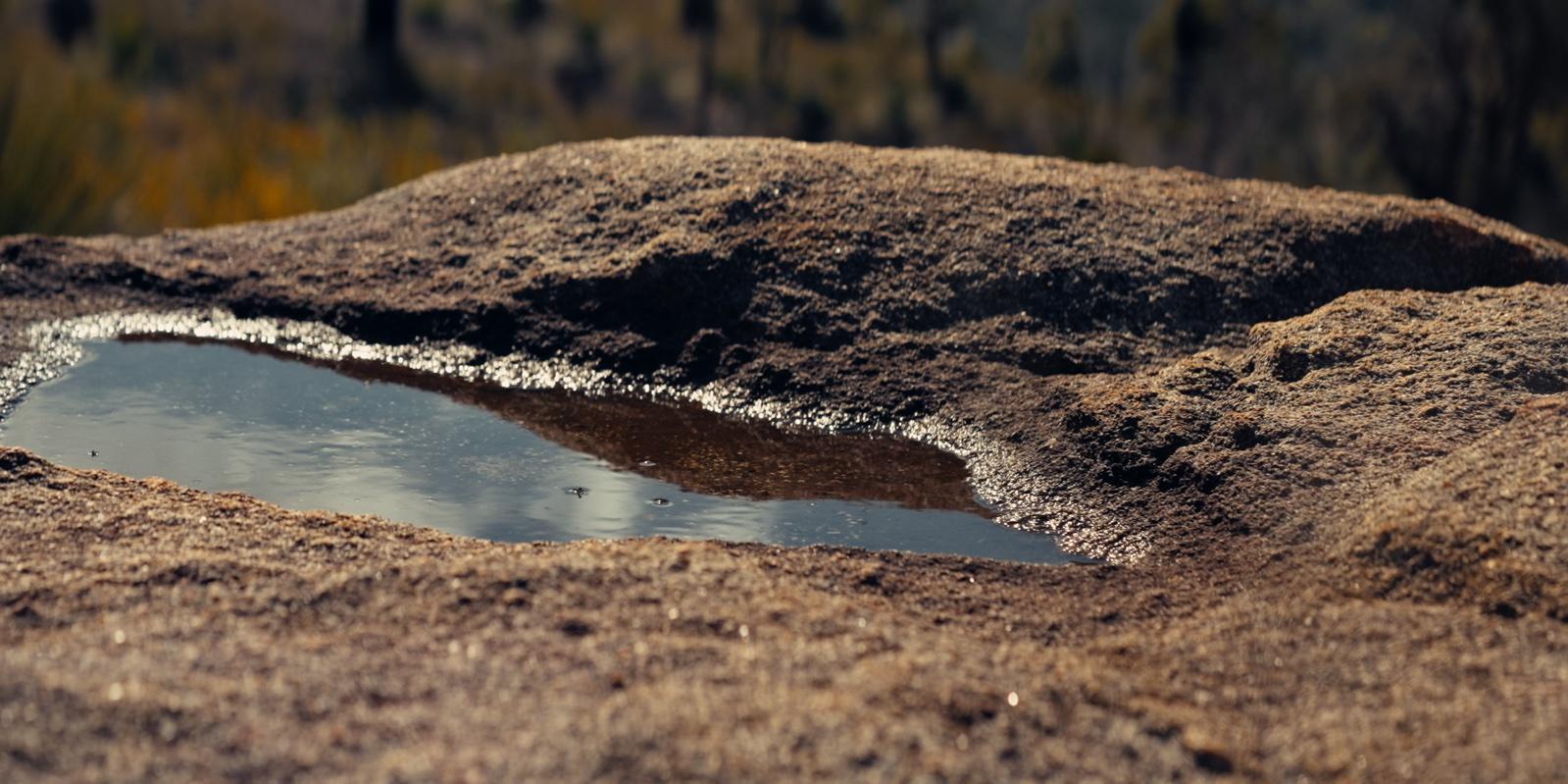 A rock pool on granite in the WA bush