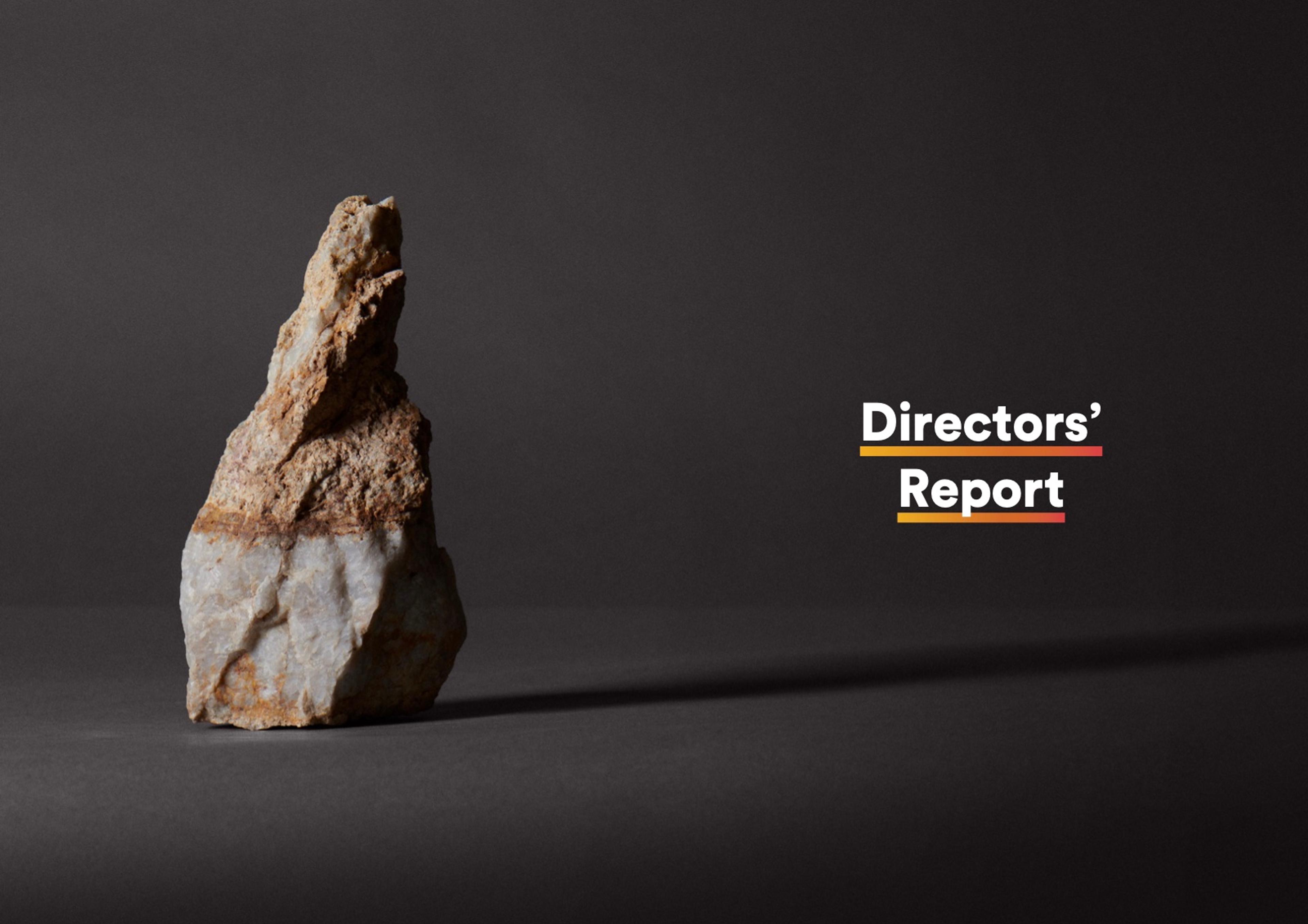Section opener from the 2021 Annual Report. Directors’ Report: a rock