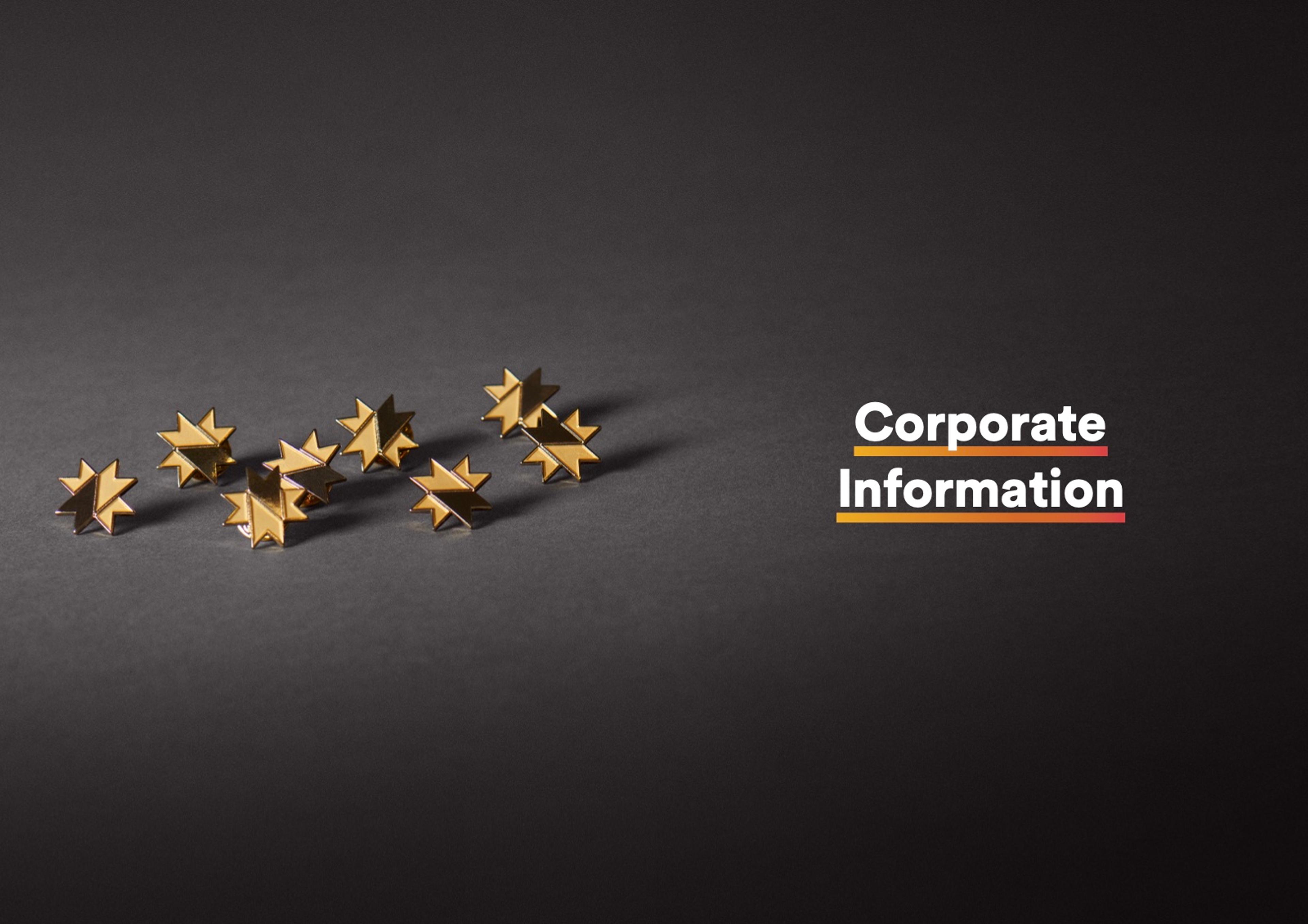 Section opener from the 2021 Annual Report. Corporate Information: gold stars
