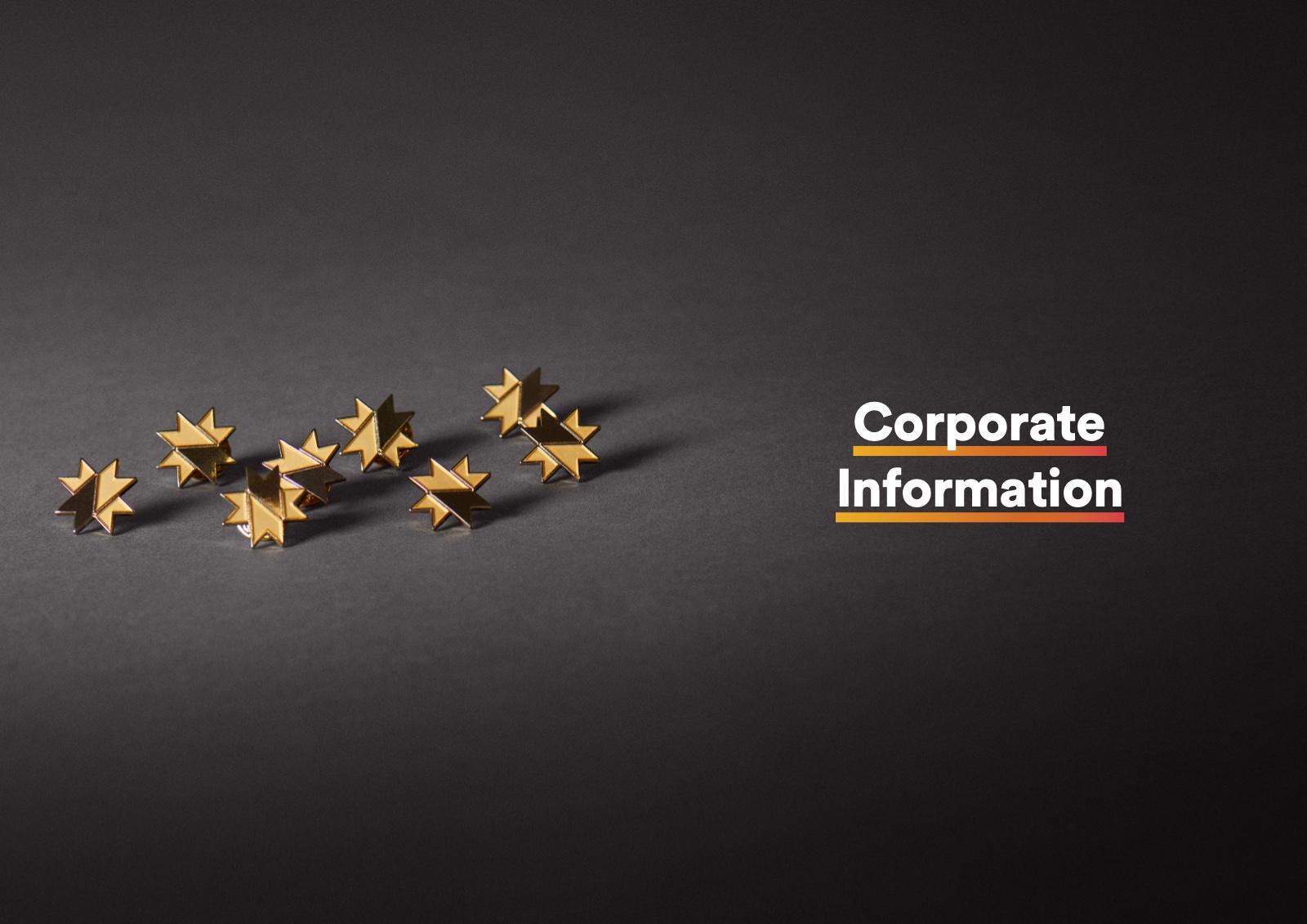 Section opener from the 2021 Annual Report. Corporate Information: gold stars