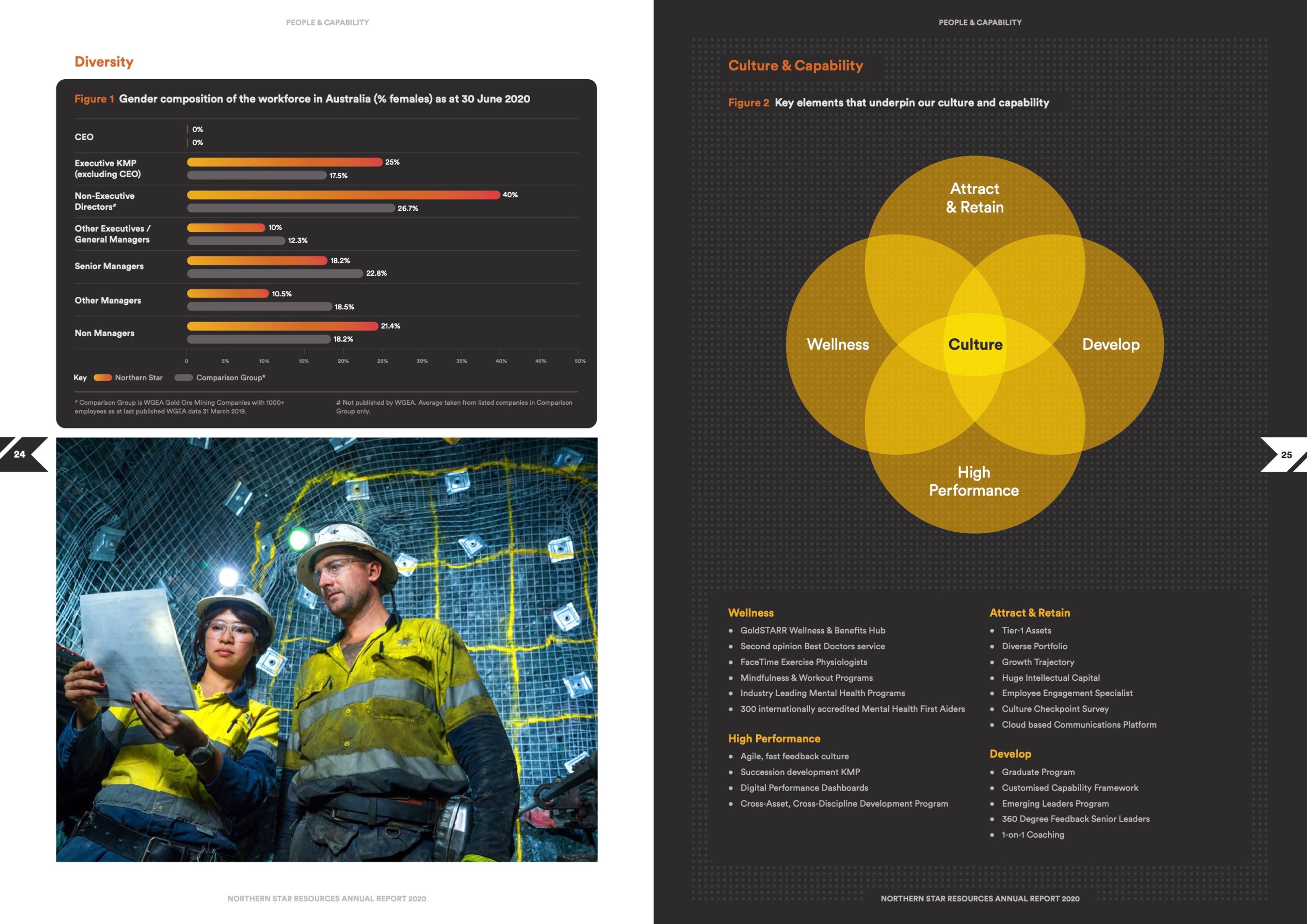 Diversity chart and Culture & Capability diagram from the 2020 Annual Report