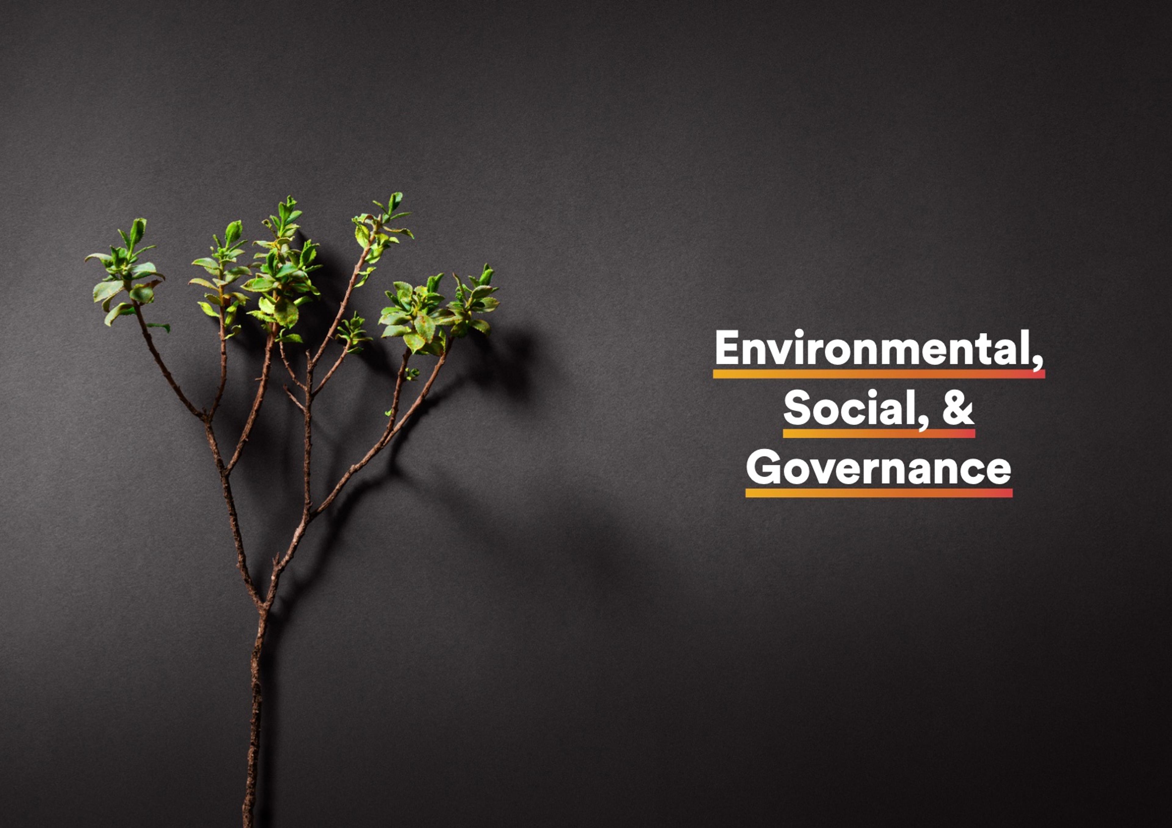 Section opener from the 2021 Annual Report. Environmental, Social & Governance: a sapling