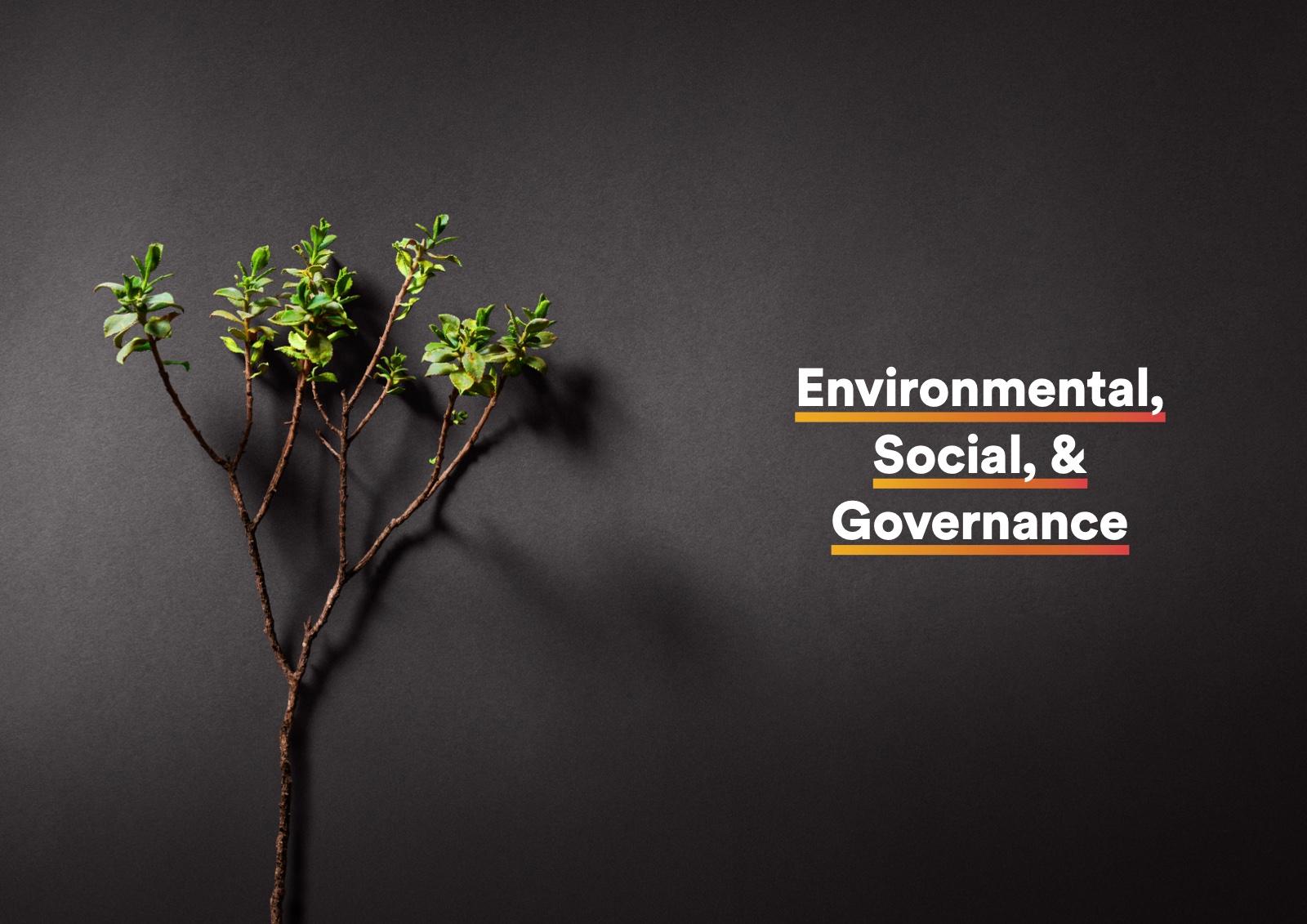 Section opener from the 2021 Annual Report. Environmental, Social & Governance: a sapling