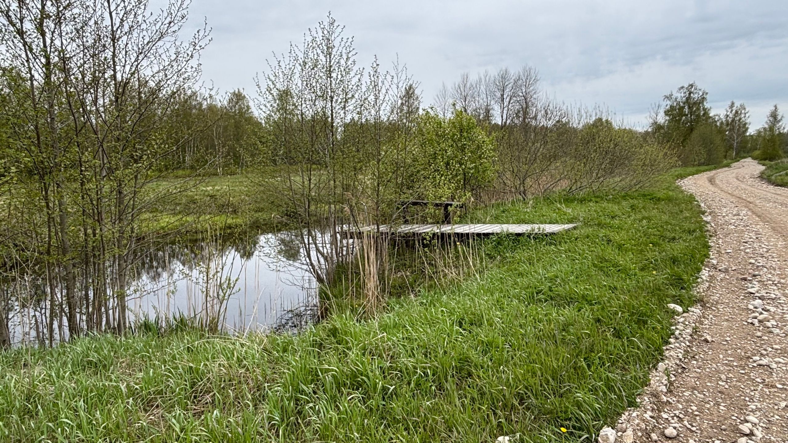 Põllumaa kinnistu 11,5 ha