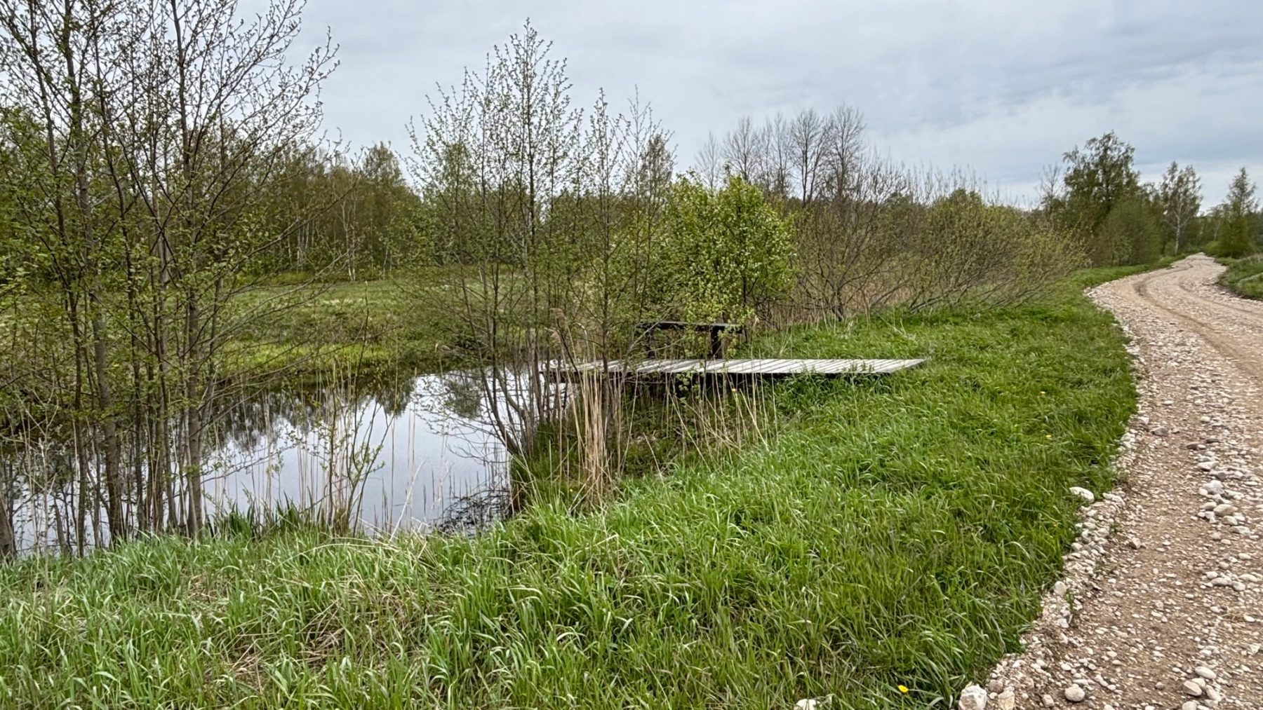 Agricultural land, 11.5 ha — 1