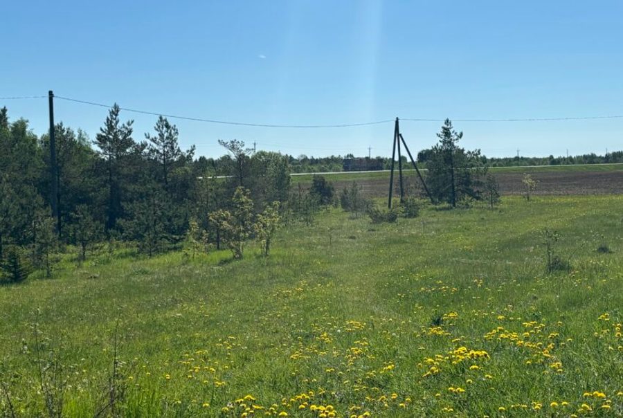 Agricultural land in Mälivere village on the Viljandi road — 5