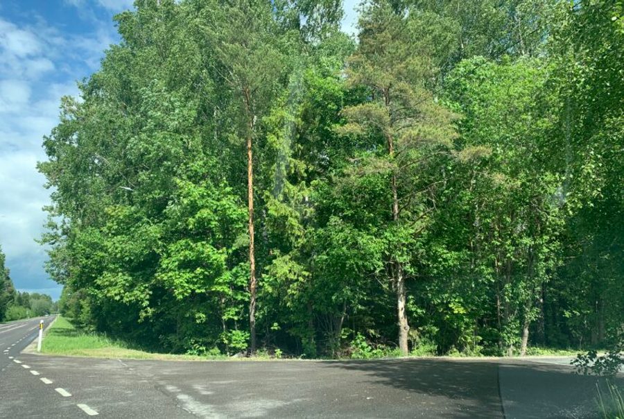 Laopinnad Rapla linna lähedal, 525 m² ja 250 m² — 2