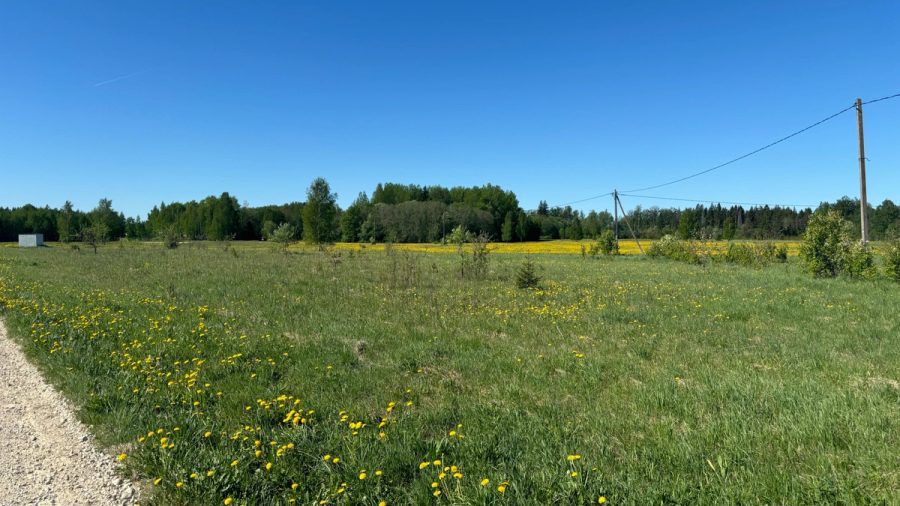 Elamukinnistu Mälivere külas Kohila vallas — 5