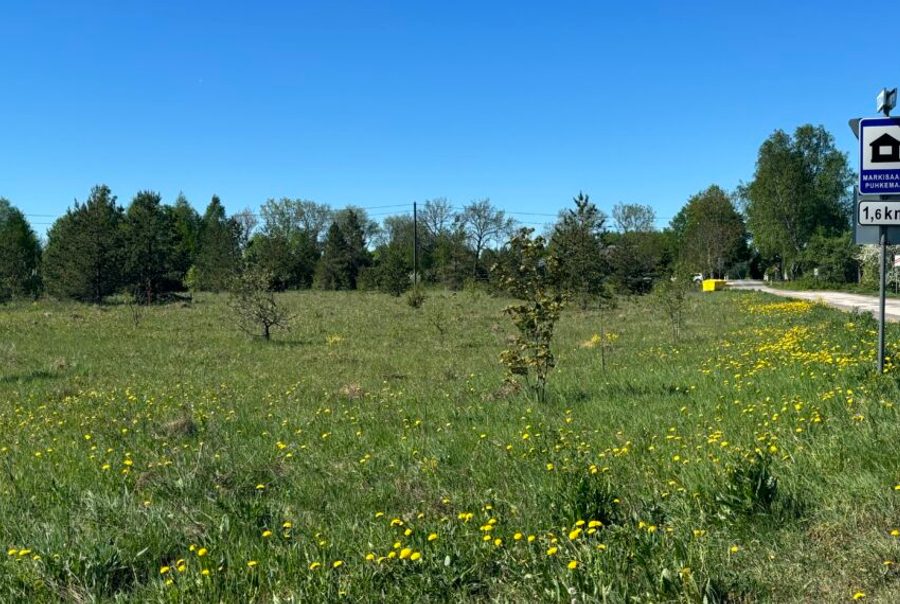 Agricultural land in Mälivere village on the Viljandi road — 3