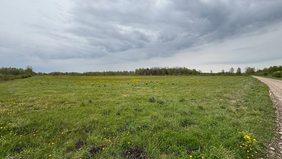 Agricultural land, 11.5 ha — 3