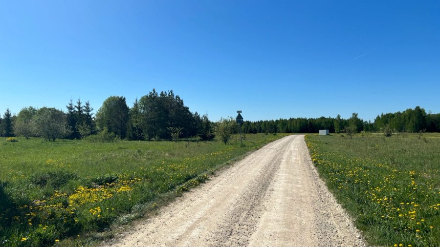Elamukinnistu Mälivere külas Kohila vallas — 4