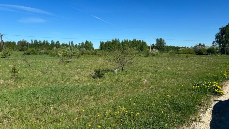 Elamukinnistu Mälivere külas Kohila vallas — 7