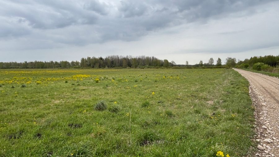 Agricultural land, 11.5 ha — 4
