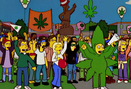 Simpsons weed rally 