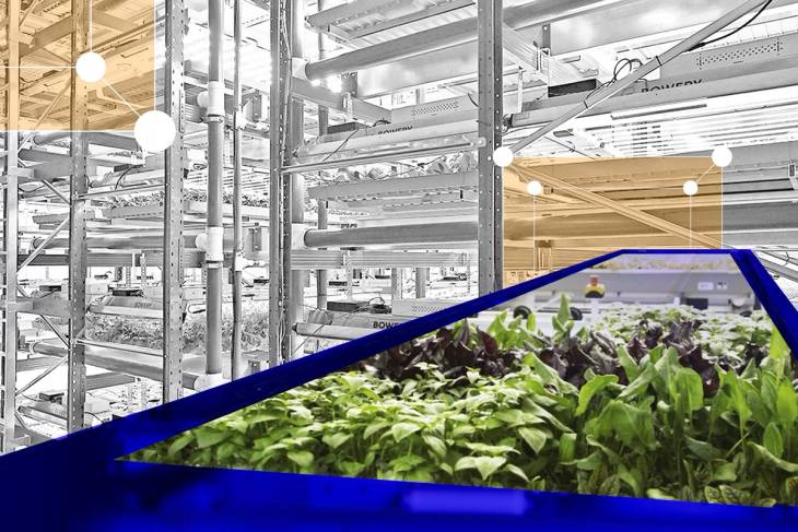 Inside indoor-farming giant, Bowery Farming