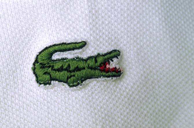 Close-up of a Lacoste crocodile logo on a white knit shirt. 